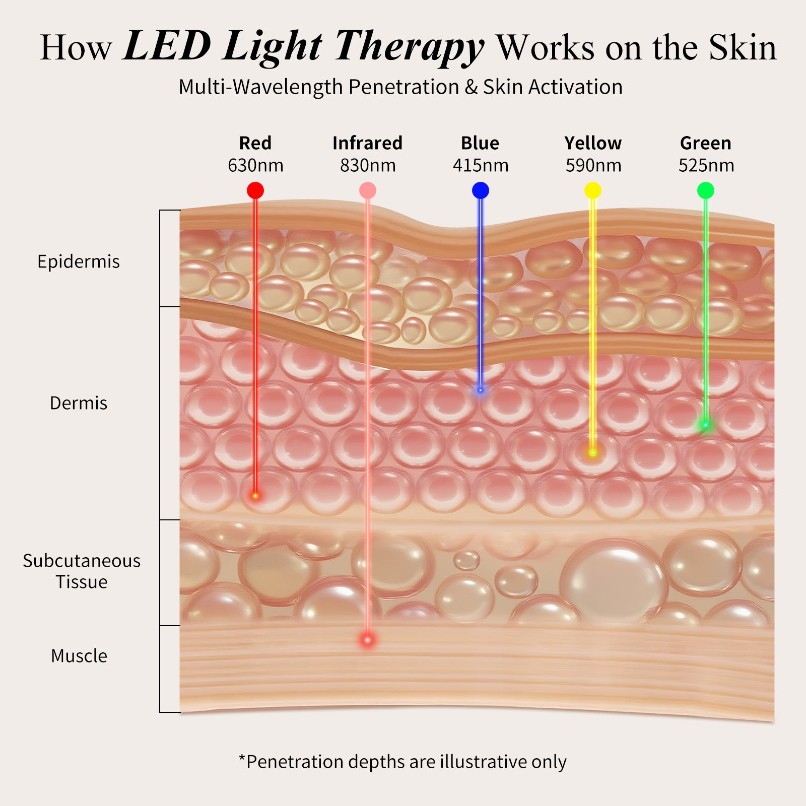 Diagram showing how LED light therapy works on skin layers: Red (630nm) and Infrared (830nm) reaching dermis and subcutaneous tissue, Blue (415nm) targeting epidermis, Yellow (590nm) and Green (525nm) for multi-wavelength skin activation.